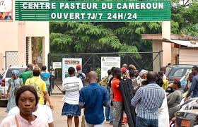 Best Hospitals in Yaounde  - bigmanlab