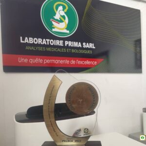 Pros and Cons of Labo Prima Yaounde - bigmanlab