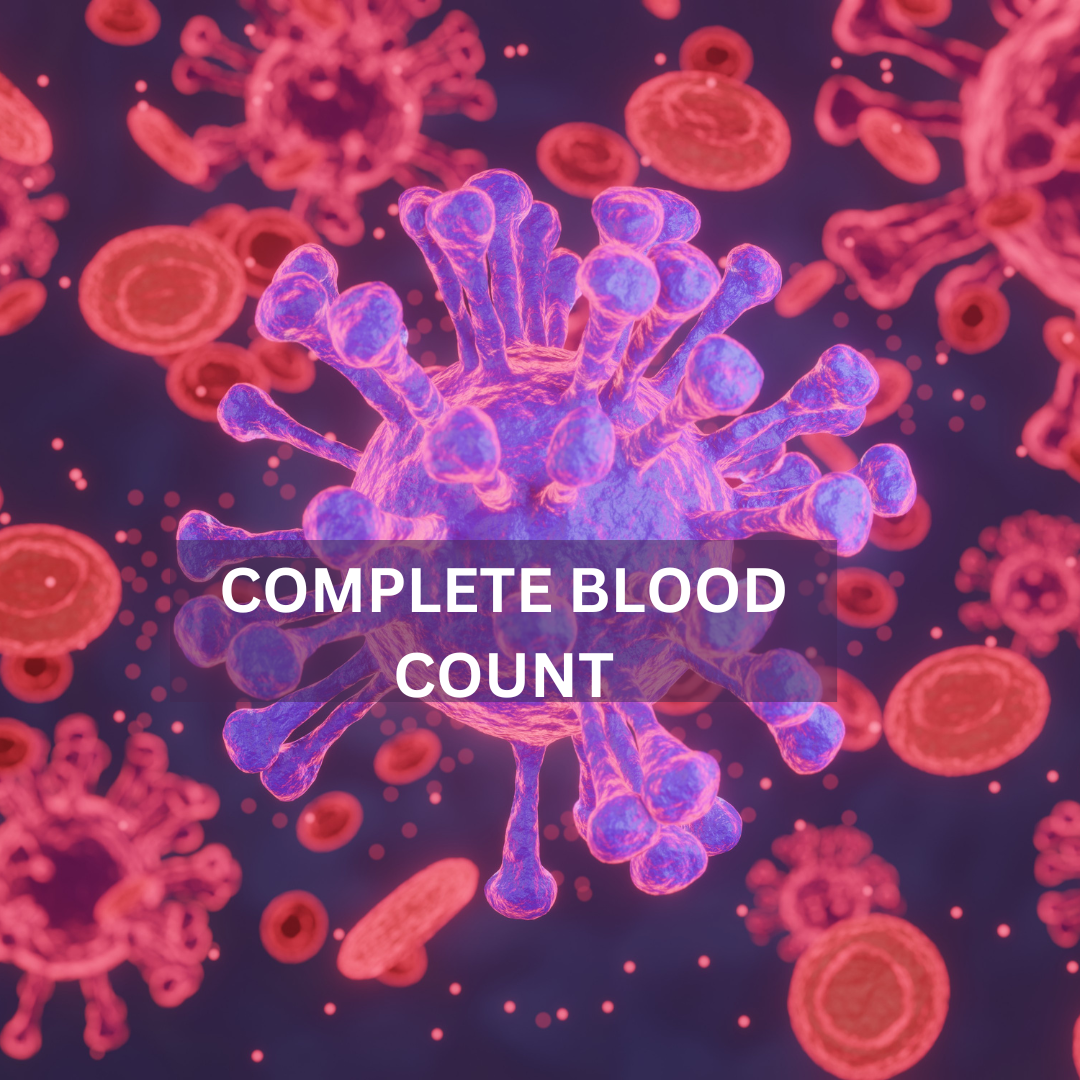 best-complete-blood-count-cbc-test-guide-bigman-lab